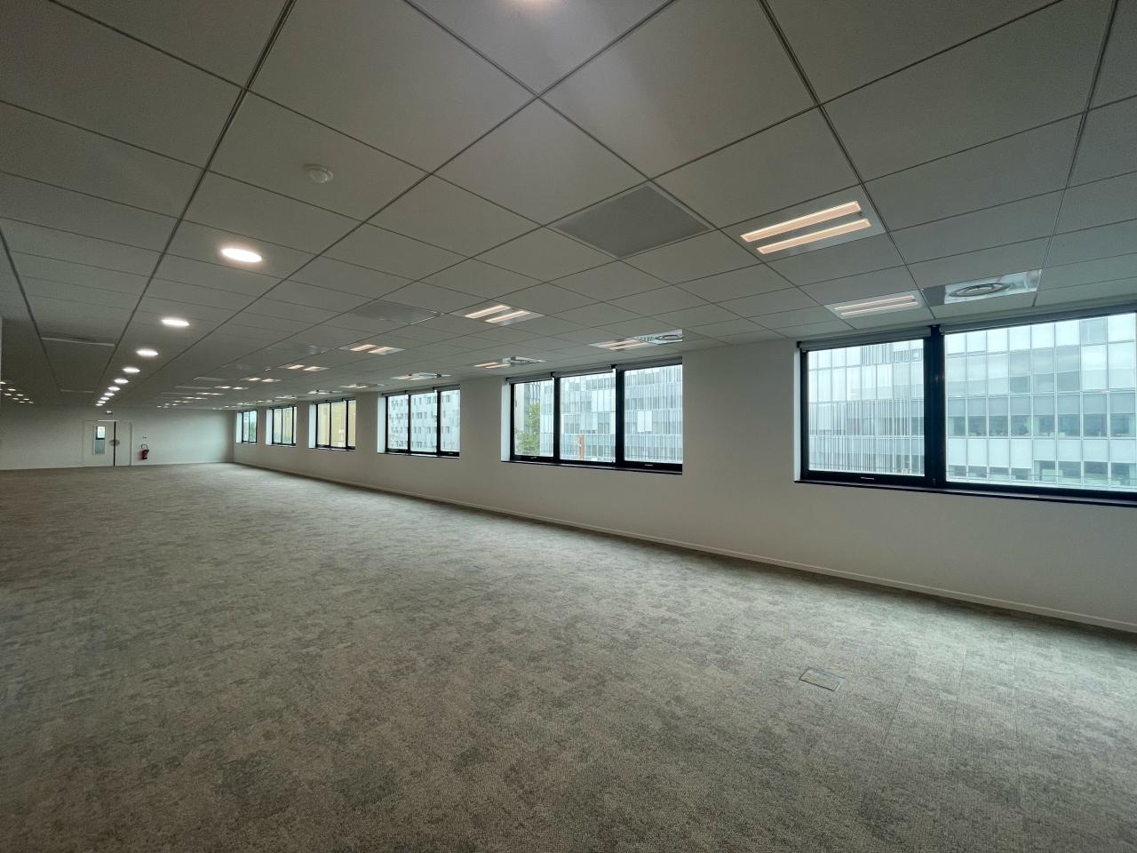 Bureau Lyon 5704m² Location bureau Lyon Rhône OLBUR2109182 12